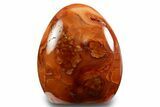 Free-Standing, Polished Carnelian Agate - Madagascar #333283-1
